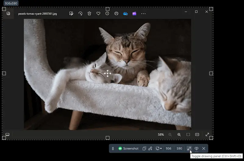 Icecream Screen Recorder 2